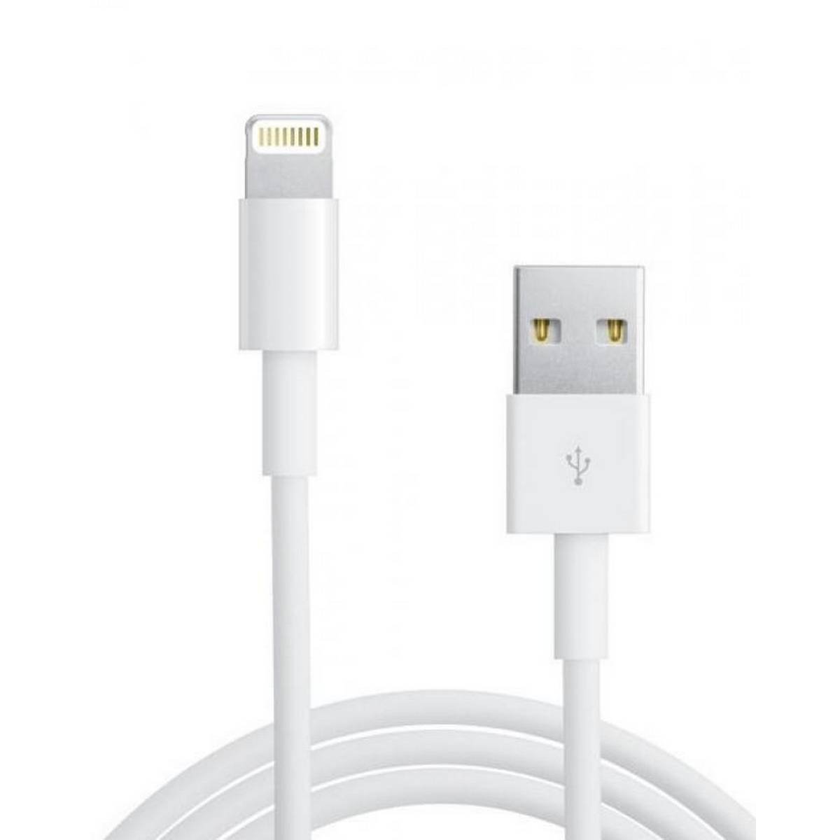 Apple USB to Lightning Cable 2 Meter